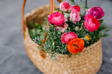 Fototapeta na wymiar Basket full of pink ranunculus flowers.