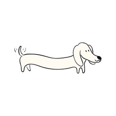 Cute cartoon dachshund dog, puppy wagging tail funny character illustration. Hand drawn vector, isolated. Line drawing. Domestic animal logo. Design concept pet food, branding, business, vet, print