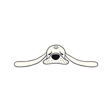 Basset dog, puppy face cute funny cartoon character illustration. Hand drawn vector, isolated. Line art. Domestic animal logo. Design concept pet food, branding, business, vet, print, poster