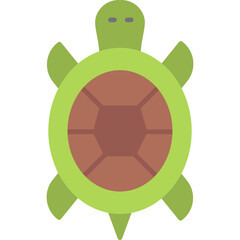 Turtle Icon