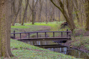Early spring Landscape with bare tree trunks and green grass, Selective focus of wooden bridge crossing canal, Amsterdamse Bos (Forest) Park in the municipalities of Amstelveen, Amsterdam, Netherlands