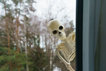 Photography of a skeleton peeps in your window. Cold  futuristic day. Agressive smiling scares everybody. Halloween concept. Close up photography