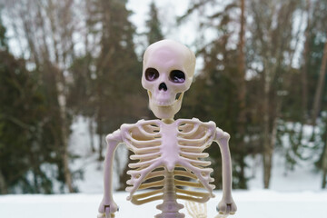 Photography of a skeleton among snow outdoors. Cold futuristic day colors. Agressive smiling skeleton toy stands. He scares passers-by. Halloween concept. Close up photography