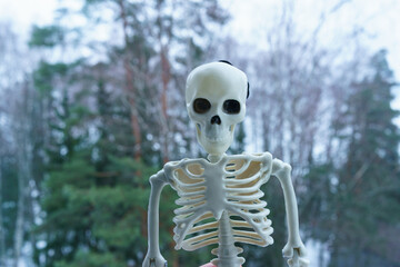 Photography of a skeleton among snow outdoors. Cold white and blue futuristic day colors. Agressive smiling skeleton toy stands. He scares passers-by. Halloween concept. Close up photography