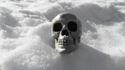 Photography of a mock-up of a skull lies down on thr snow at sunny day. Isolated symbol of death. Halloween theme