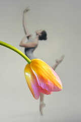 Beautiful Ballerina Dancing Wearing Skirt from Tulip Flower © Laurentiu Iordache