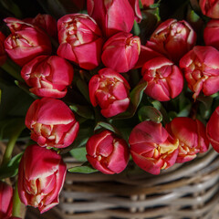 red tulips in wicker basket 
