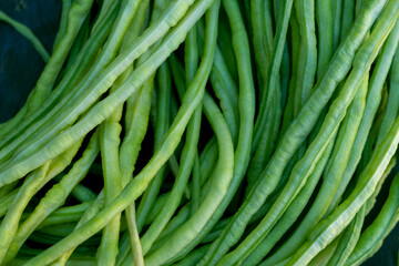 Asparagus green beans. cowpea. Natural eco friendly vegetarian food. Natural protein. Diet