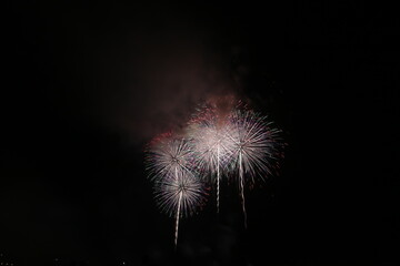 蒲郡の夏の花火イベント