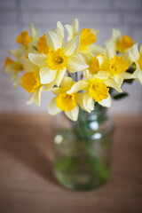 Bouquet of spring seasonal yellow bright daffodils in a glass vase jar with a background in defocus. Concept: mother's day, women's, postcard, mockup, copy space, layer, for website