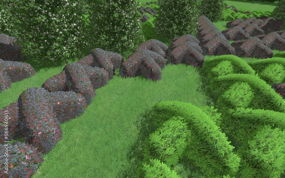 Fototapete 3d illustration of modern landscape architecture. modular topiary garden with clipped borders in the