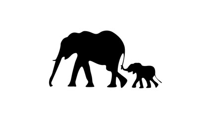 Fototapeta premium Baby elephant holding on to mother's tail