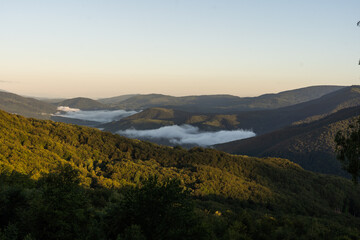 Mountains in clouds at sunrise in summer. mountain with green trees in fog. Beautiful landscape with high rocks, forest, sky. mountain in clouds