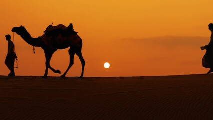 Cameleers, camel Drivers at sunset. Thar desert on sunset Jaisalmer, Rajasthan, India.