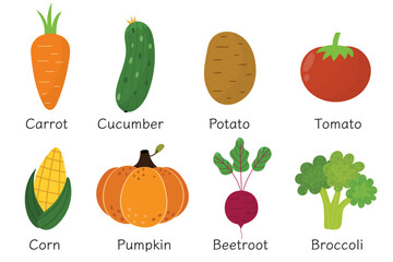 Vegetables collection in cartoon style. Healthy food set or poster with vegetables and their names. Great for recipes, cookbook and vegan prints. Pumpkin, corn, tomato and other. Vector illustration