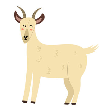 Cute goat in cartoon style isolated element. Farm animal element. Vector illustration