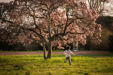 Person in nature. Child running. One Asian girl running under blooming Magnolia flowers.