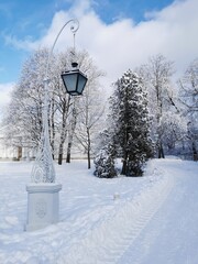 A beautiful, forged, street lamp against the background of a snow-covered tree and a blue sky with clouds in a city park in early spring in St. Petersburg.