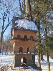 A fluffy squirrel sits on the snow-covered roof of a three-leaf feeder, standing on a cut of a tree, among the fir trees.  Central Park of Culture and Leisure in St. Petersburg