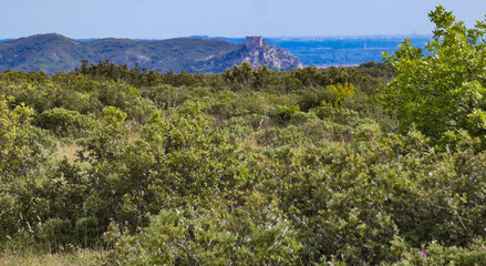 Wild landscape of the Alpilles with a nature totally covered with scrubland, and in the background in the distance, perched on its hill, the queen Jeanne castle of Eyguieres in Provence in France