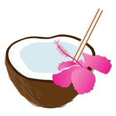 half coconut, vector illustration