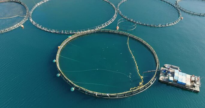Collection of fish from nursery at fish farm by boat sea in Greece. Fish breeders in natural marine waters. View island in sea. Aerial view. Seafood. Travel. Tourism