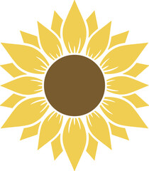 Sunflowers isolated on white background