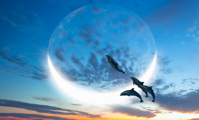 Silhoutte of beautiful dolphins jumping up from the sea at sunset with crescent moon 