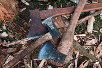 Axes with wooden handles are placed on a wooden log. The hatchets. Harvesting firewood in the...
