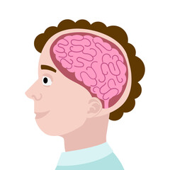 Human head in section cartoon PNG illustration with transparent background