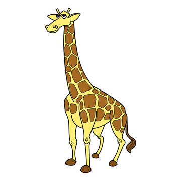 Giraffe african savannah animal cartoon PNG illustration with transparent background