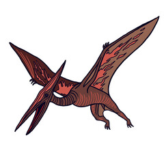 Vector color illustration of extinct genus of pterosaurs