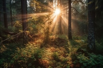 a beautiful day with sun stars in a forest (generative AI)