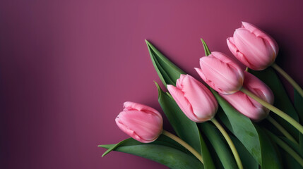 Obraz premium Wonderful tulips on a color background. Space for copy. Generative AI