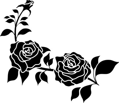 silhouette black motif rose flower blooming decoration