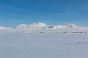 Fototapeta na wymiar Snow-covered winter landscape in northern norway