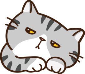 Cute Cartoon Cat Character