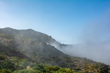 Fog in the mountains of Tenerife in Spain