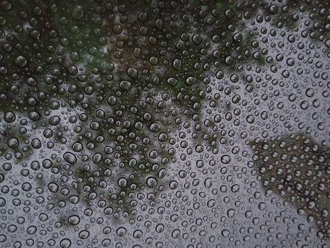 Gotas de lluvia sobre un cristal transparente en el parabrisas del cami&oacute;n con las hojas de los &aacute;rboles en silueta, forma un hermoso y original dise&ntilde;o abstracto para los fondos