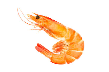 Red cooked prawn or tiger shrimp isolated on transparent background with clipping path, single Red cooked prawn white shrimp with clipping path and alpha channel.  for both printing and web pages. 