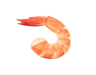 
Red cooked prawn or tiger shrimp isolated on transparent background with clipping path, single Red cooked prawn white shrimp with clipping path and alpha channel.  for both printing and web pages. 