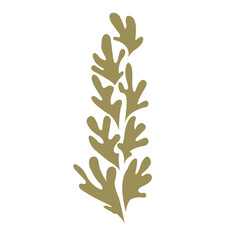 Seaweed, coral and sea grass flat design vector for decoration on Aquatic plant.