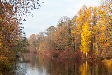 Autumn landscape by the lake and shore. Pond in autumn, yellow leaves, reflection. High quality photo