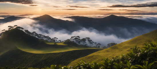 Fototapeta na wymiar View of the coffee plantation mountains, generative AI