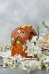 Ester cake with chocolate topping and nuts on gray background