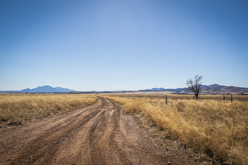 A dirt road leading off into the distance to mountains on the horizon under a clear blue sky.