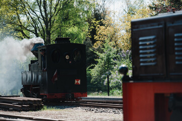 Dampflok der Waldeisenbahn Bad Muskau