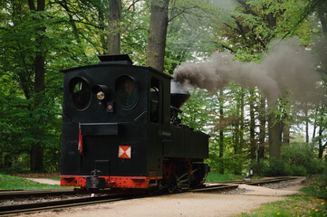 Dampflok der Waldeisenbahn Bad Muskau