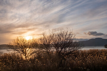 黄金色に輝く早春の琵琶湖の夕暮れ　美しいサンセットの風景