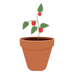 Red sweet Pepper in a pot for indoor plants. seedlings. gardening. Isolated vector illustration